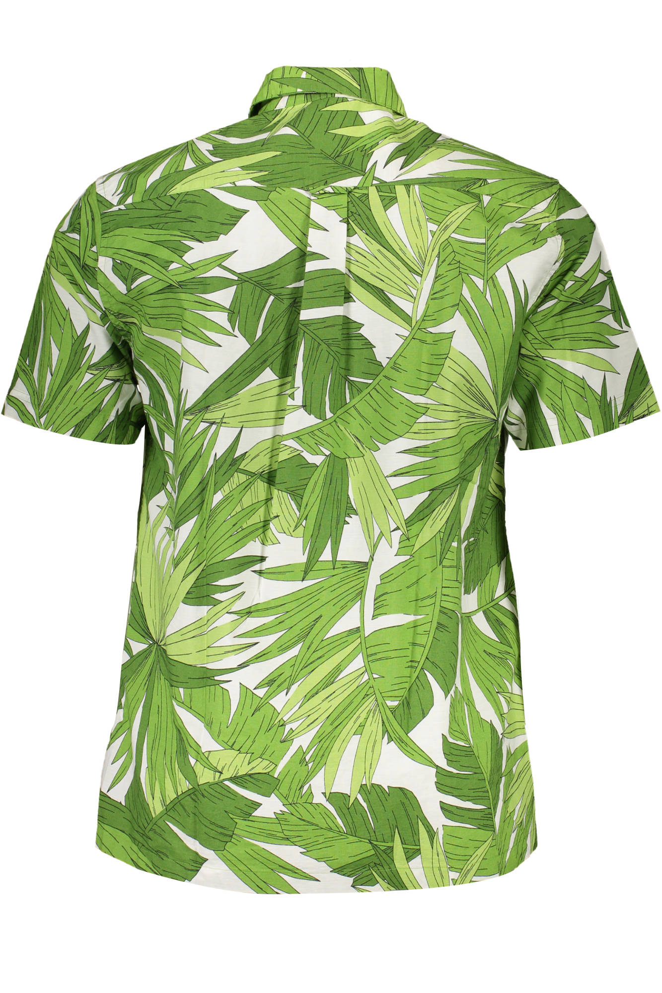 GANT CAMICIA MANICHE CORTE UOMO VERDE - immagine 2